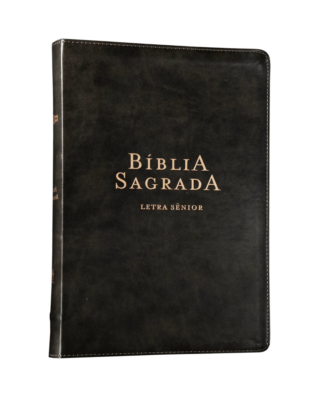 BÍBLIA NVI, LETRA SÊNIOR, COURO-SOFT PRETO, LEITURA PERFEITA