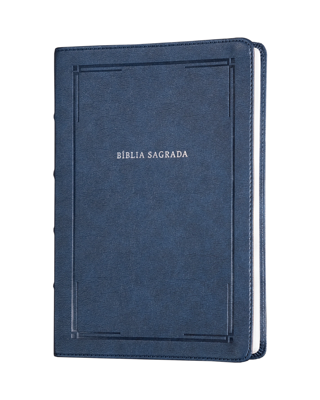 BÍBLIA SLIM NVI, LETRA GRANDE, COURO-SOFT AZUL, LUXO, BARROCA, LEITURA PERFEITA