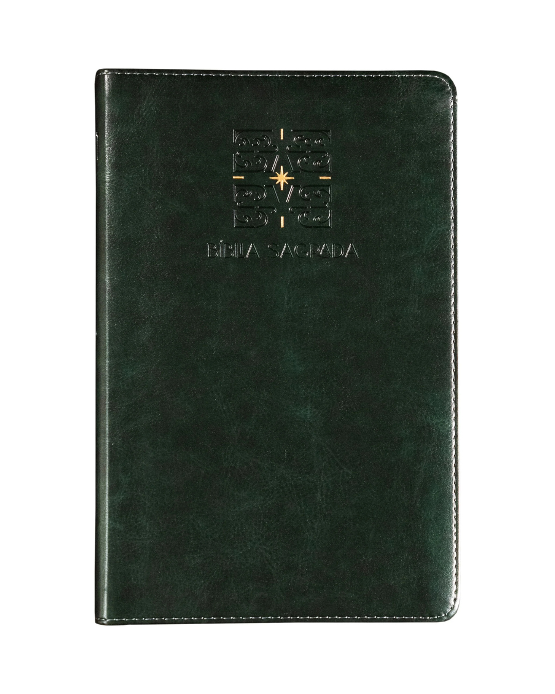 THE PURPOSE BOOK: BÍBLIA SAGRADA, A21, CAPA COURO-SOFT VERDE, LUZ