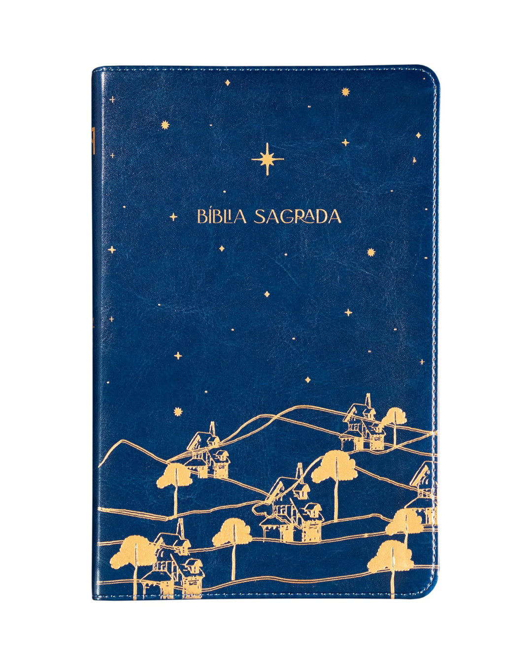 THE PURPOSE BOOK: BÍBLIA SAGRADA, A21, CAPA COURO-SOFT AZUL, REINO