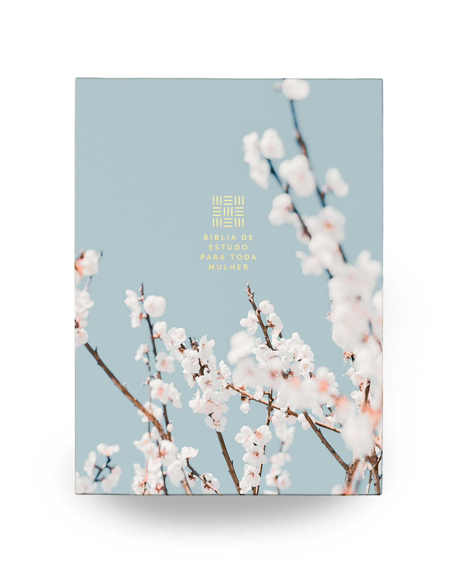 BÍBLIA DE ESTUDO PARA TODA MULHER – CAPA AZUL