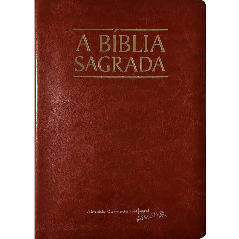 A BÍBLIA SAGRADA | ACF | MEGA LEGÍVEL | CAPA LUXO MOGNO