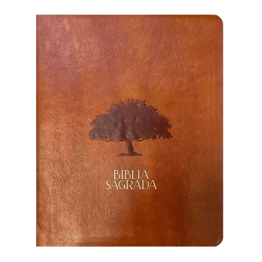 BÍBLIA MULHERES FIGUEIRA - NVT - 1 COLUNA