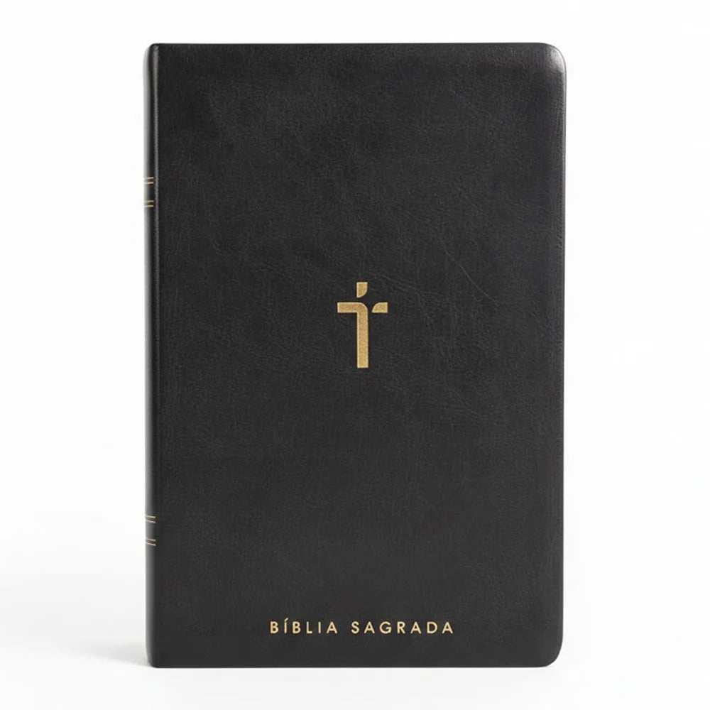BIBLIA SAGRADA MAPAS MENTAIS NAA LETRA GIGANTE PRETO