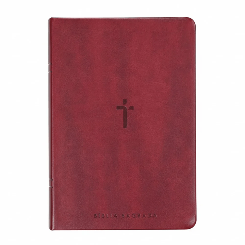 BIBLIA SAGRADA MAPAS MENTAIS NAA LETRA GIGANTE VINHO