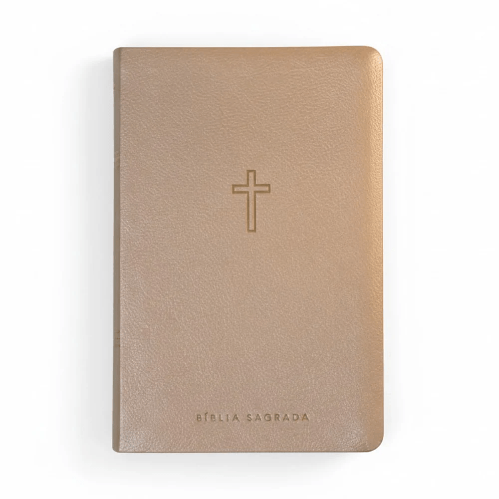 BIBLIA SAGRADA MAPAS MENTAIS NAA SLIM BEGE