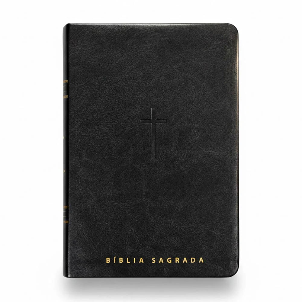 BIBLIA SAGRADA MAPAS MENTAIS NVT LETRA GIGANTE PRETO