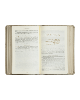 THE PURPOSE BOOK: BÍBLIA SAGRADA, A21, CAPA COURO-SOFT BEGE, FLORES