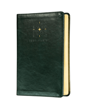 THE PURPOSE BOOK: BÍBLIA SAGRADA, A21, CAPA COURO-SOFT VERDE, LUZ