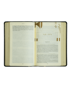 THE PURPOSE BOOK: BÍBLIA SAGRADA, A21, CAPA COURO-SOFT VERDE, LUZ