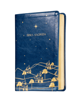 THE PURPOSE BOOK: BÍBLIA SAGRADA, A21, CAPA COURO-SOFT AZUL, REINO