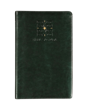 THE PURPOSE BOOK: BÍBLIA SAGRADA, A21, CAPA COURO-SOFT VERDE, LUZ