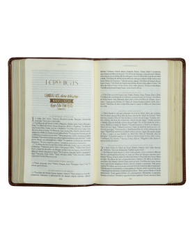 THE PURPOSE BOOK: BÍBLIA SAGRADA, A21, CAPA COURO-SOFT CARAMELO, PAISAGEM