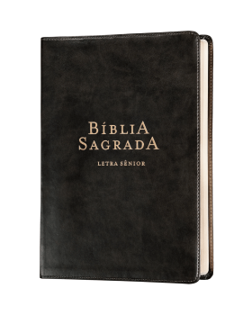 BÍBLIA NVI, LETRA SÊNIOR, COURO-SOFT PRETO, LEITURA PERFEITA