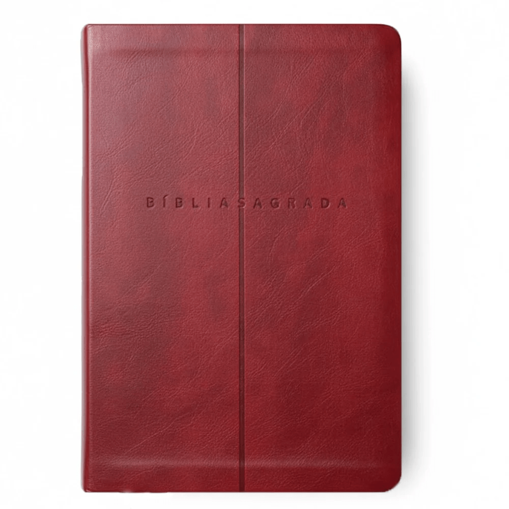 BIBLIA SAGRADA MAPAS MENTAIS NVI SLIM VINHO