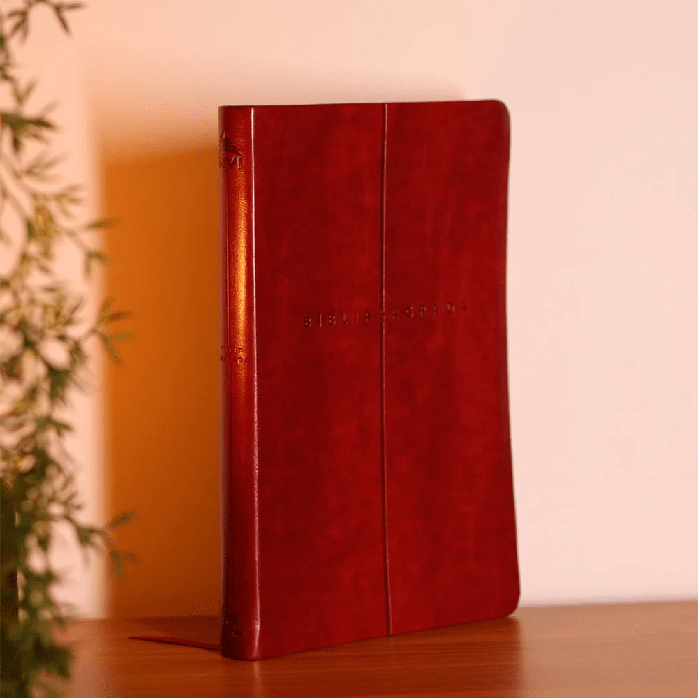 BIBLIA SAGRADA MAPAS MENTAIS NVI SLIM VINHO