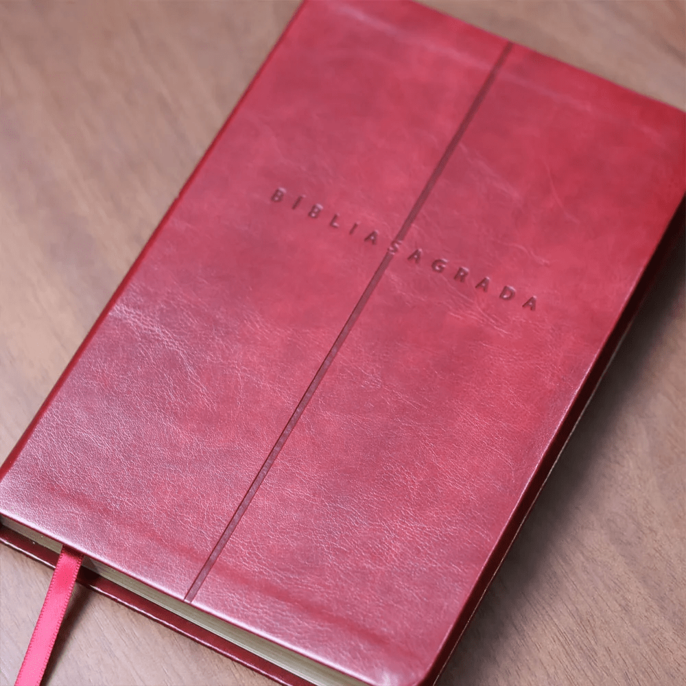 BIBLIA SAGRADA MAPAS MENTAIS NVI SLIM VINHO