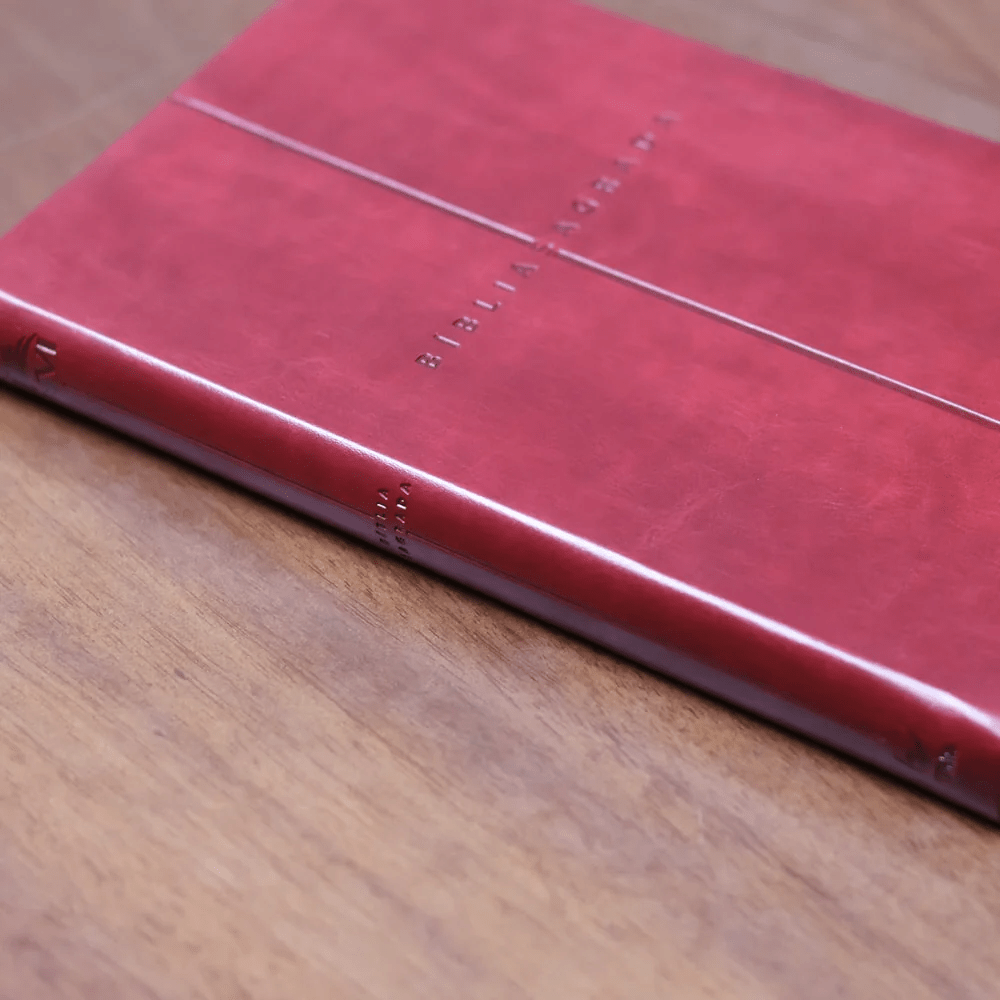 BIBLIA SAGRADA MAPAS MENTAIS NVI SLIM VINHO
