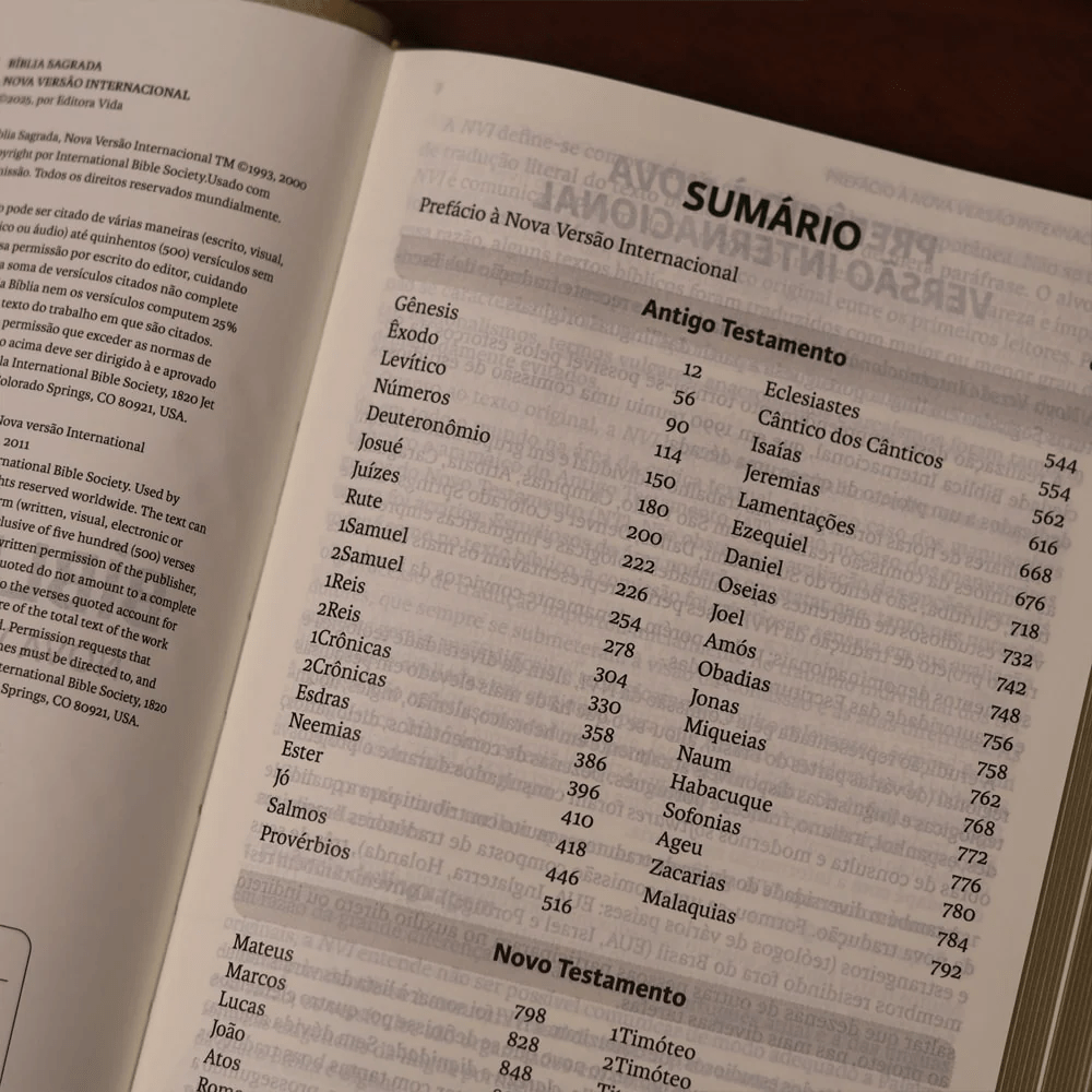 BIBLIA SAGRADA MAPAS MENTAIS NVI SLIM VINHO
