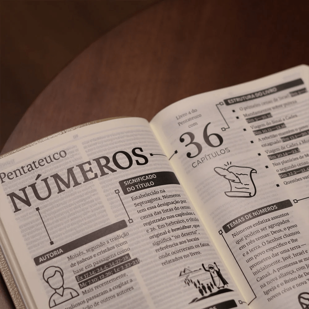 BIBLIA SAGRADA MAPAS MENTAIS NVI SLIM VINHO