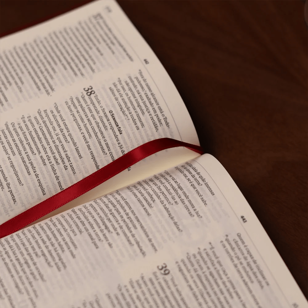 BIBLIA SAGRADA MAPAS MENTAIS NVI SLIM VINHO