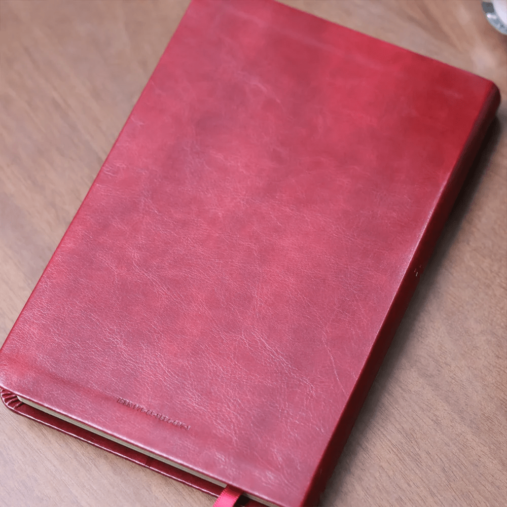 BIBLIA SAGRADA MAPAS MENTAIS NVI SLIM VINHO