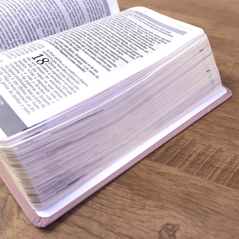 BÍBLIA ESTUDO JOYCE MEYER - NUDE - GRANDE