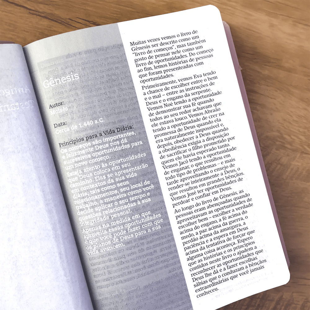 BÍBLIA ESTUDO JOYCE MEYER - NUDE - GRANDE