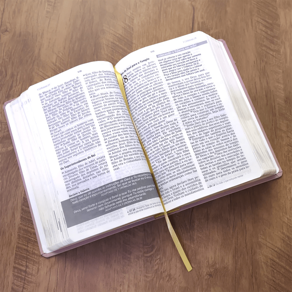 BÍBLIA ESTUDO JOYCE MEYER - NUDE - GRANDE