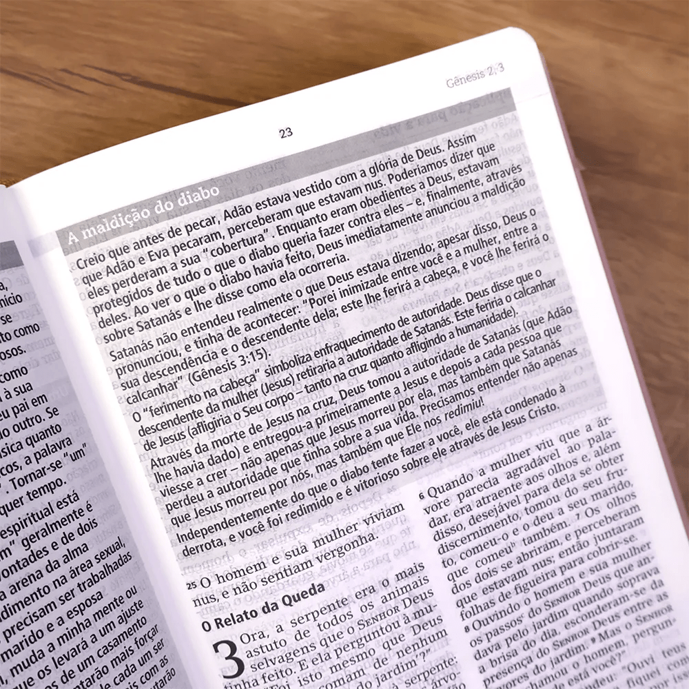 BÍBLIA ESTUDO JOYCE MEYER - NUDE - GRANDE