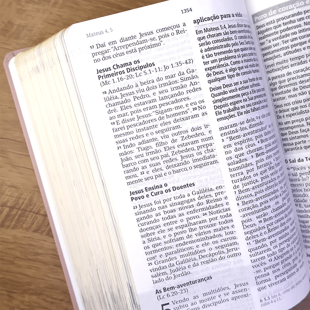 BÍBLIA ESTUDO JOYCE MEYER - NUDE - GRANDE