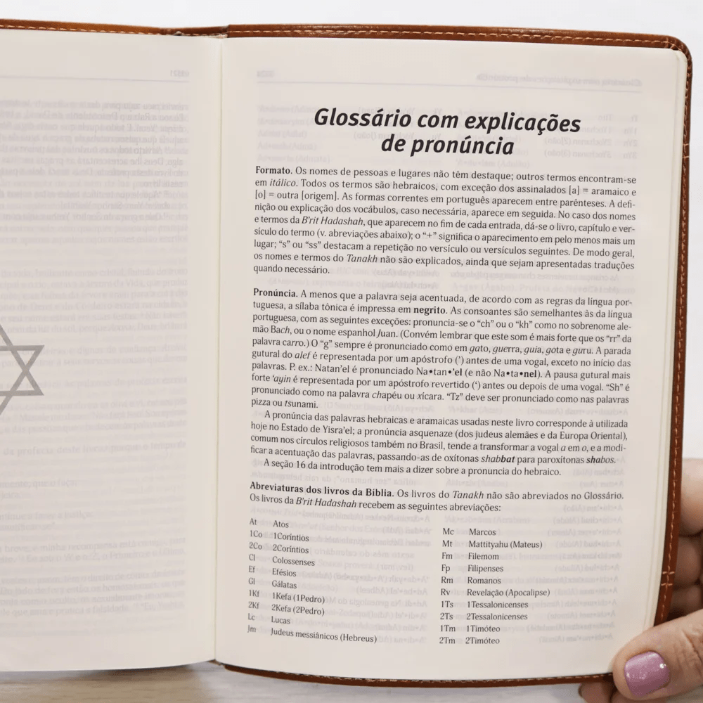 BÍBLIA JUDAICA COMPLETA - CAPA MARROM