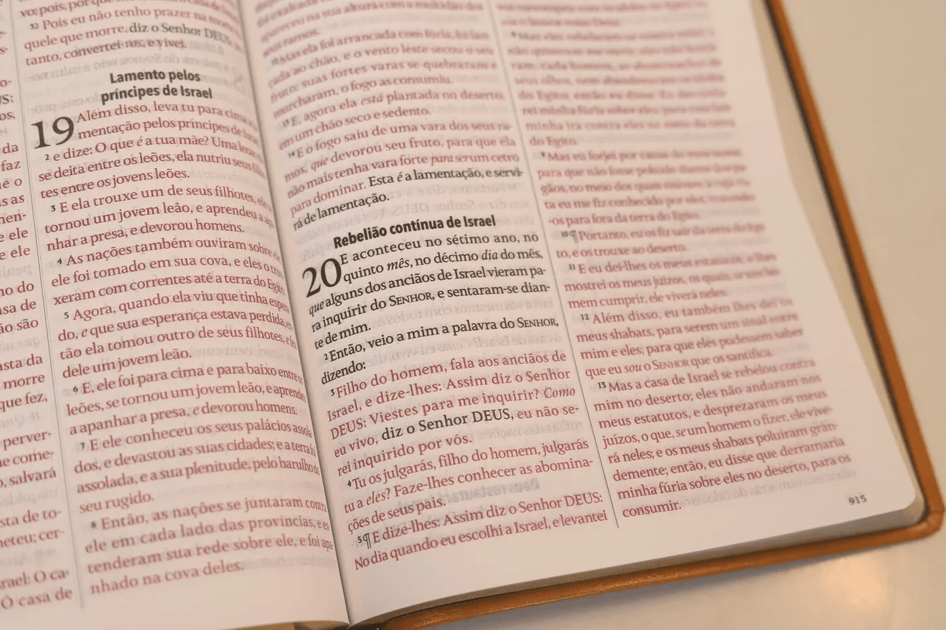 BÍBLIA KING JAMES FIEL 1611 EXTRA GIGANTE LUXO - CAPA CASTANHA (BORDA DOURADA)