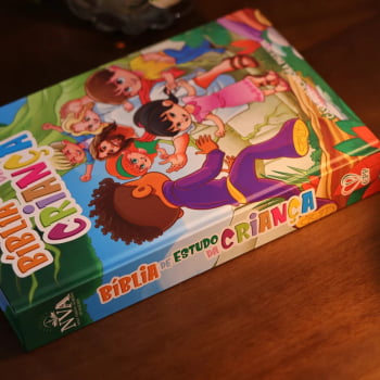 BÍBLIA DE ESTUDO DA CRIANÇA NVA
