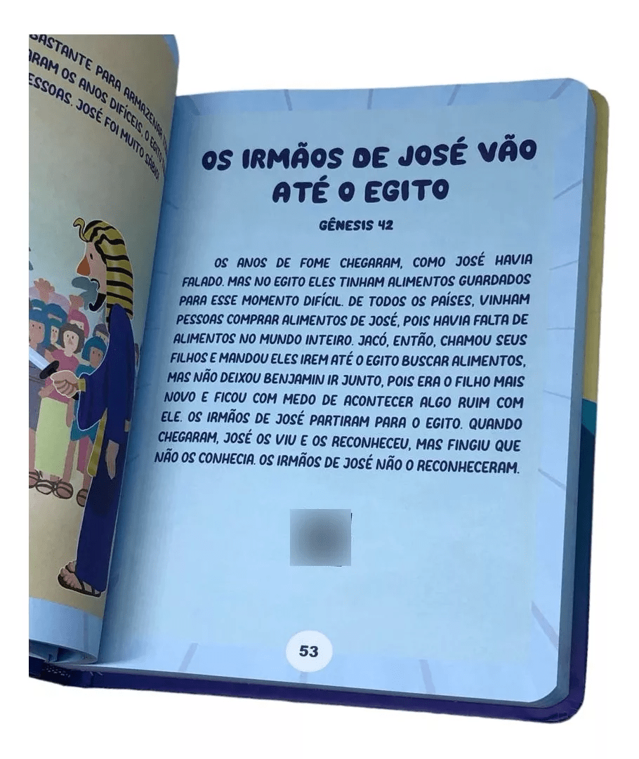 BIBLIA DO GUERREIRO | PRISCILA MACEDO E ISABELLE ALVES | CPP