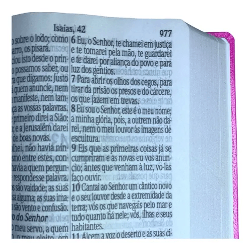 BÍBLIA JUMBO ARC COM HARPA E CORINHOS - COVERBOOK COMPACTA ROSA