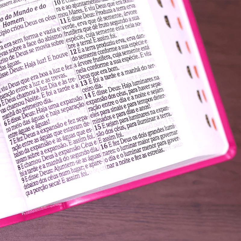 BÍBLIA SAGRADA COM HARPA AVIVADA E CORINHOS | ARA | LETRA HIPERGIGANTE | C/ ÍNDICE CAPA PU PINK
