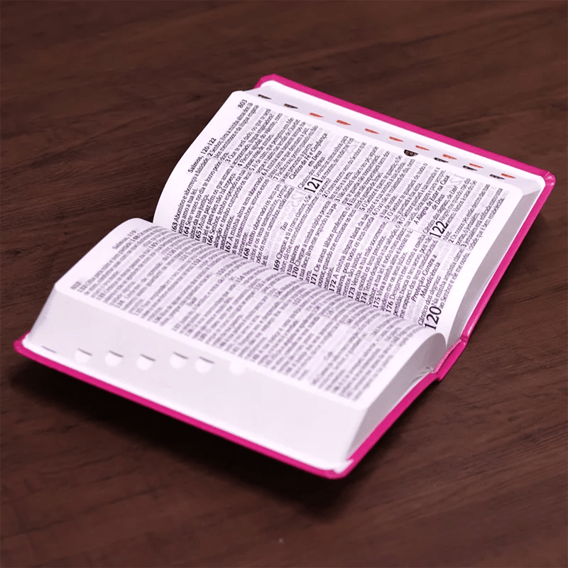 BÍBLIA SAGRADA COM HARPA AVIVADA E CORINHOS | ARA | LETRA HIPERGIGANTE | C/ ÍNDICE CAPA PU PINK