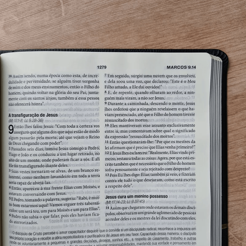 BÍBLIA DE ESTUDO CRISTO EM TODA A ESCRITURA | KJA| PETRA