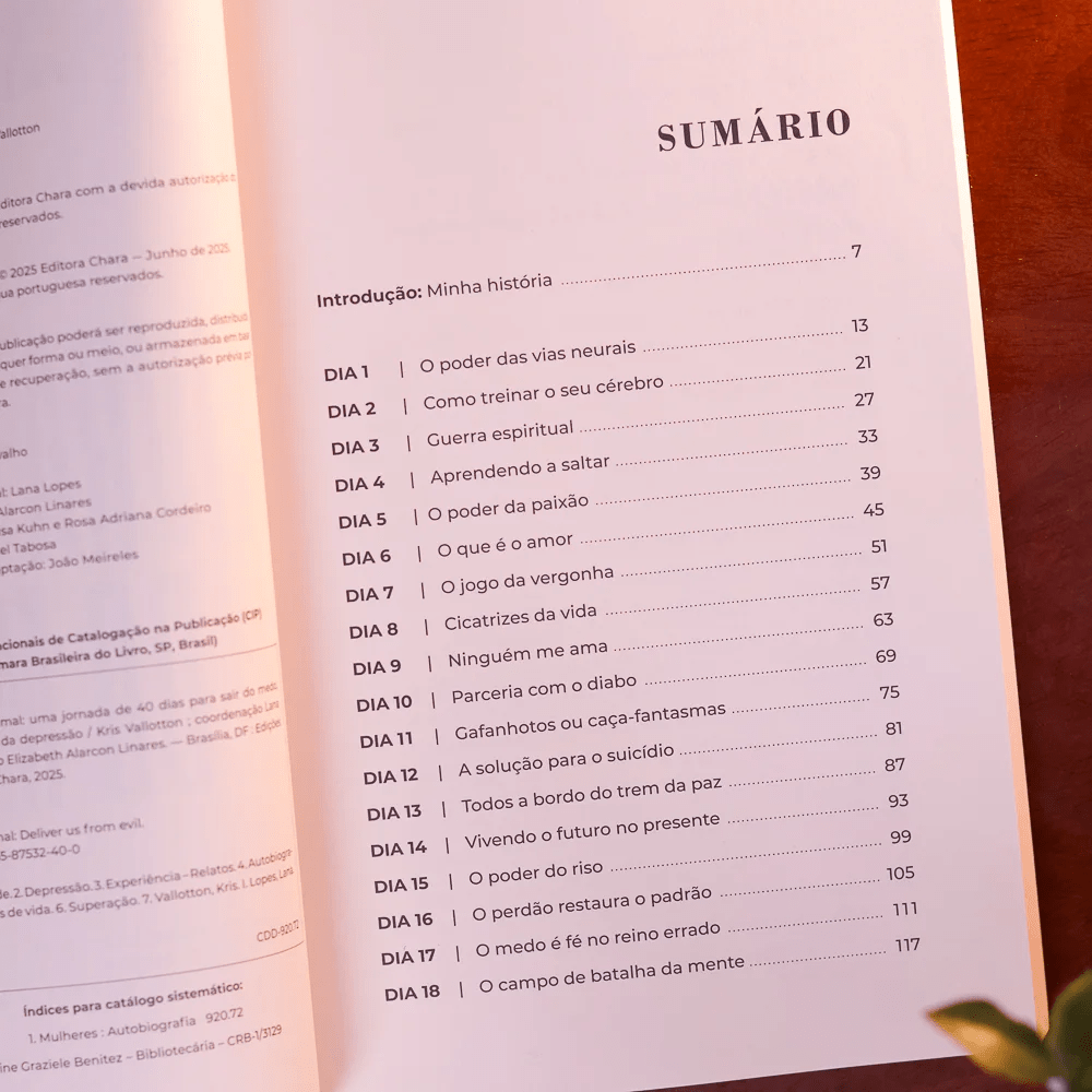 LIVRA-NOS DO MAL - KRIS VALLOTTON