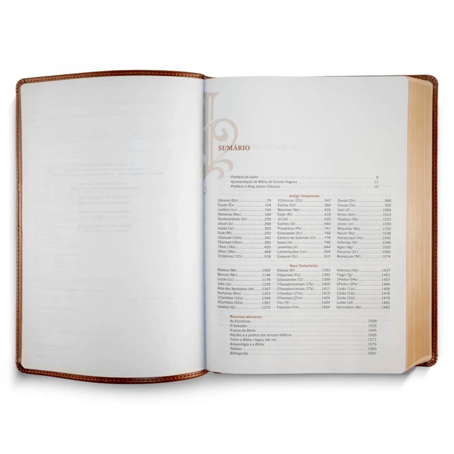 BÍBLIA DE ESTUDO HAGNOS - NOTAS, COMENTÁRIOS E RECURSOS DE HAROLD WILLMINGTON - MARROM