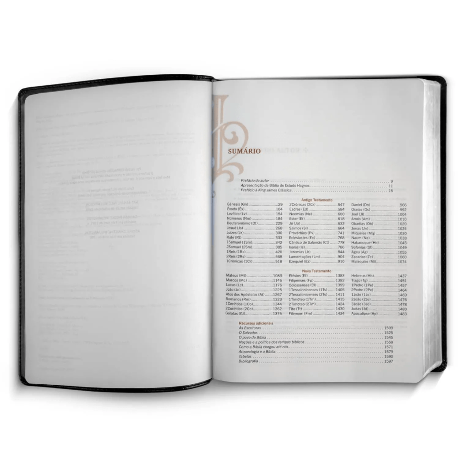 BÍBLIA DE ESTUDO HAGNOS - NOTAS, COMENTÁRIOS E RECURSOS DE HAROLD WILLMINGTON - PRETA