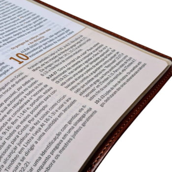 BÍBLIA DE ESTUDO HAGNOS - NOTAS, COMENTÁRIOS E RECURSOS DE HAROLD WILLMINGTON - PRETA