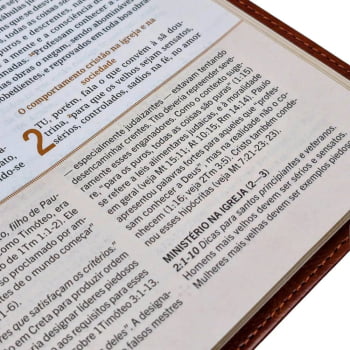 BÍBLIA DE ESTUDO HAGNOS - NOTAS, COMENTÁRIOS E RECURSOS DE HAROLD WILLMINGTON - PRETA