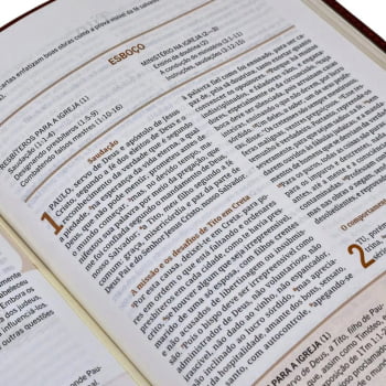 BÍBLIA DE ESTUDO HAGNOS - NOTAS, COMENTÁRIOS E RECURSOS DE HAROLD WILLMINGTON - PRETA