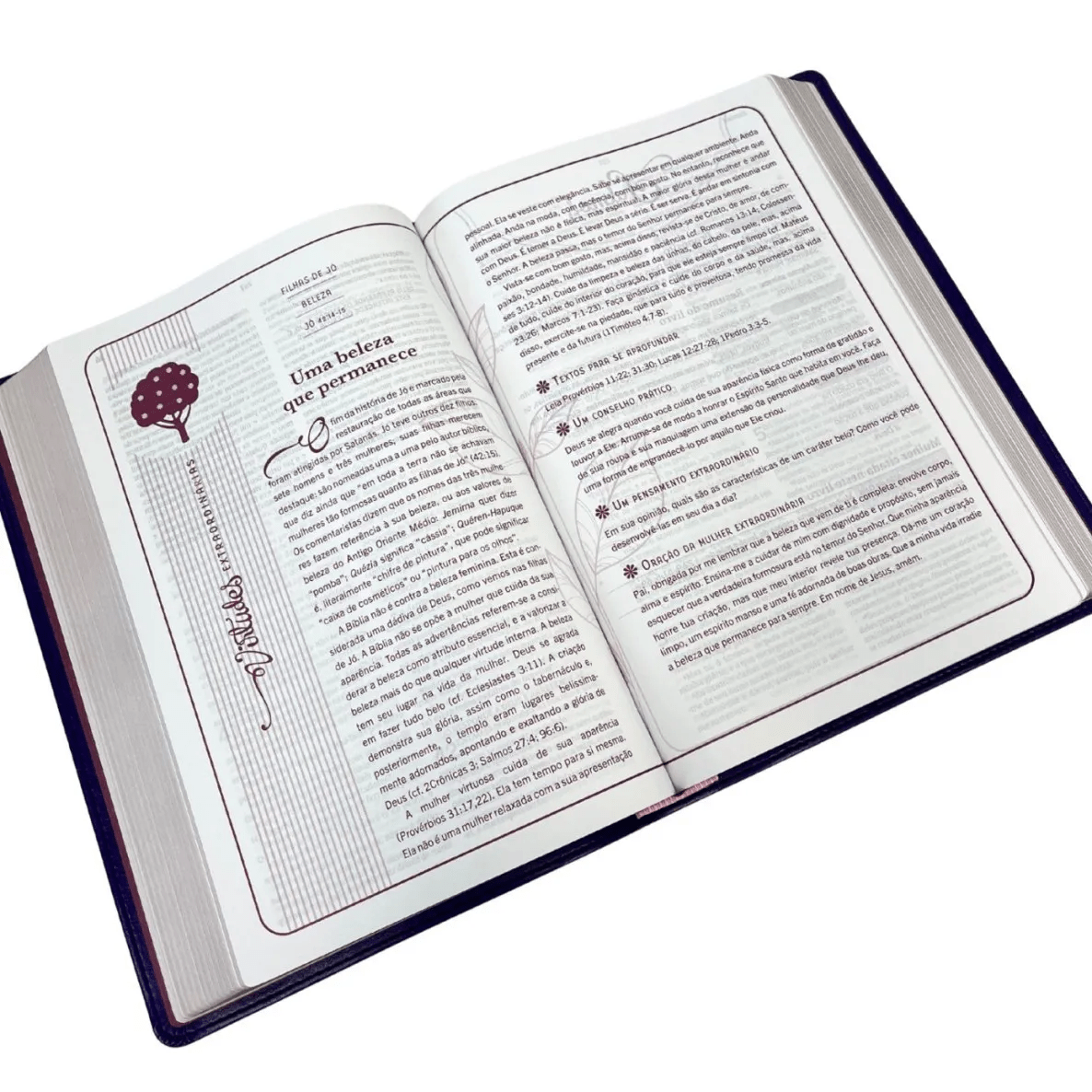 BÍBLIA MULHER EXTRAORDINÁRIA - ESTUDO, MEDITAÇÃO E ORAÇÃO - PRETA