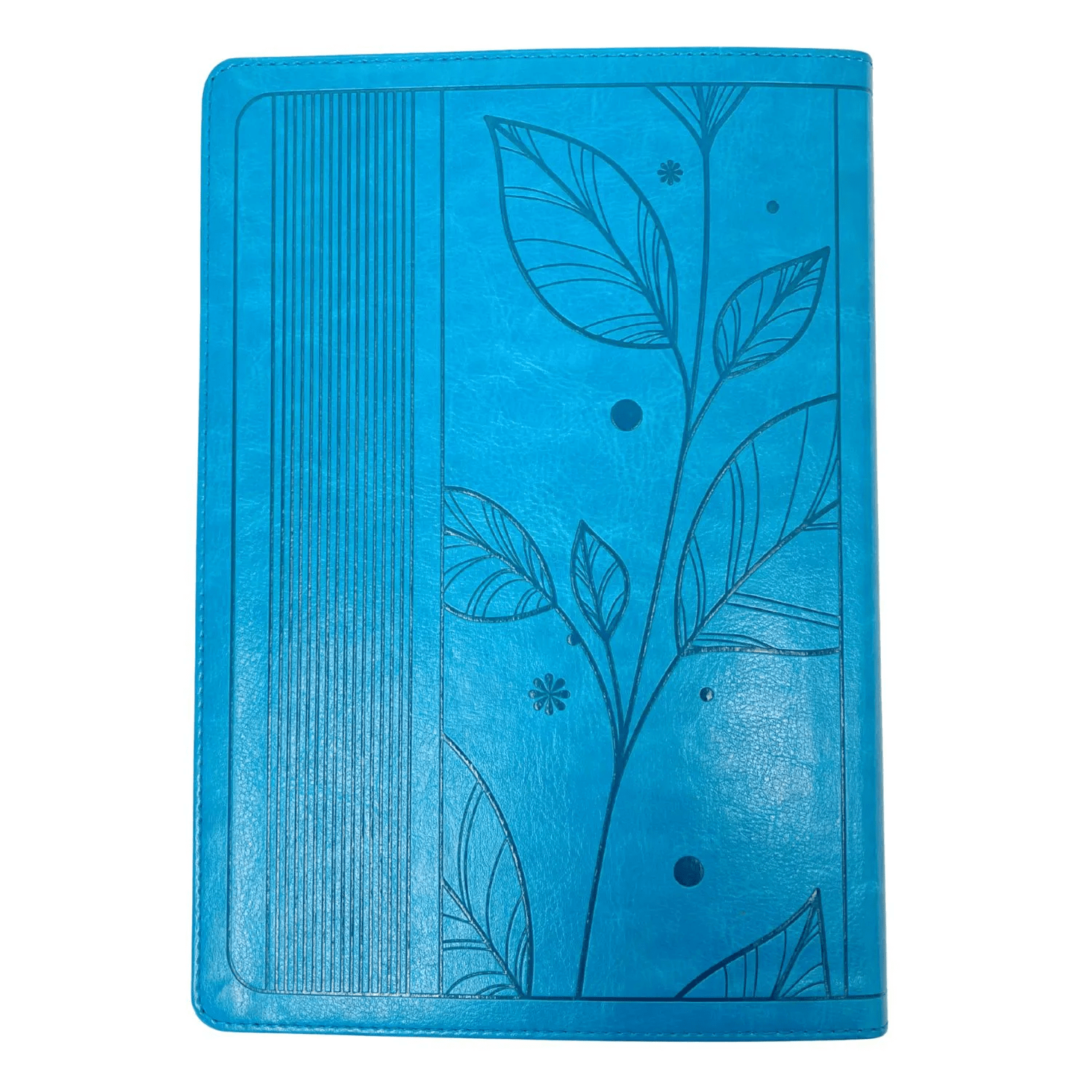 BÍBLIA MULHER EXTRAORDINÁRIA - ESTUDO, MEDITAÇÃO E ORAÇÃO - TURQUESA