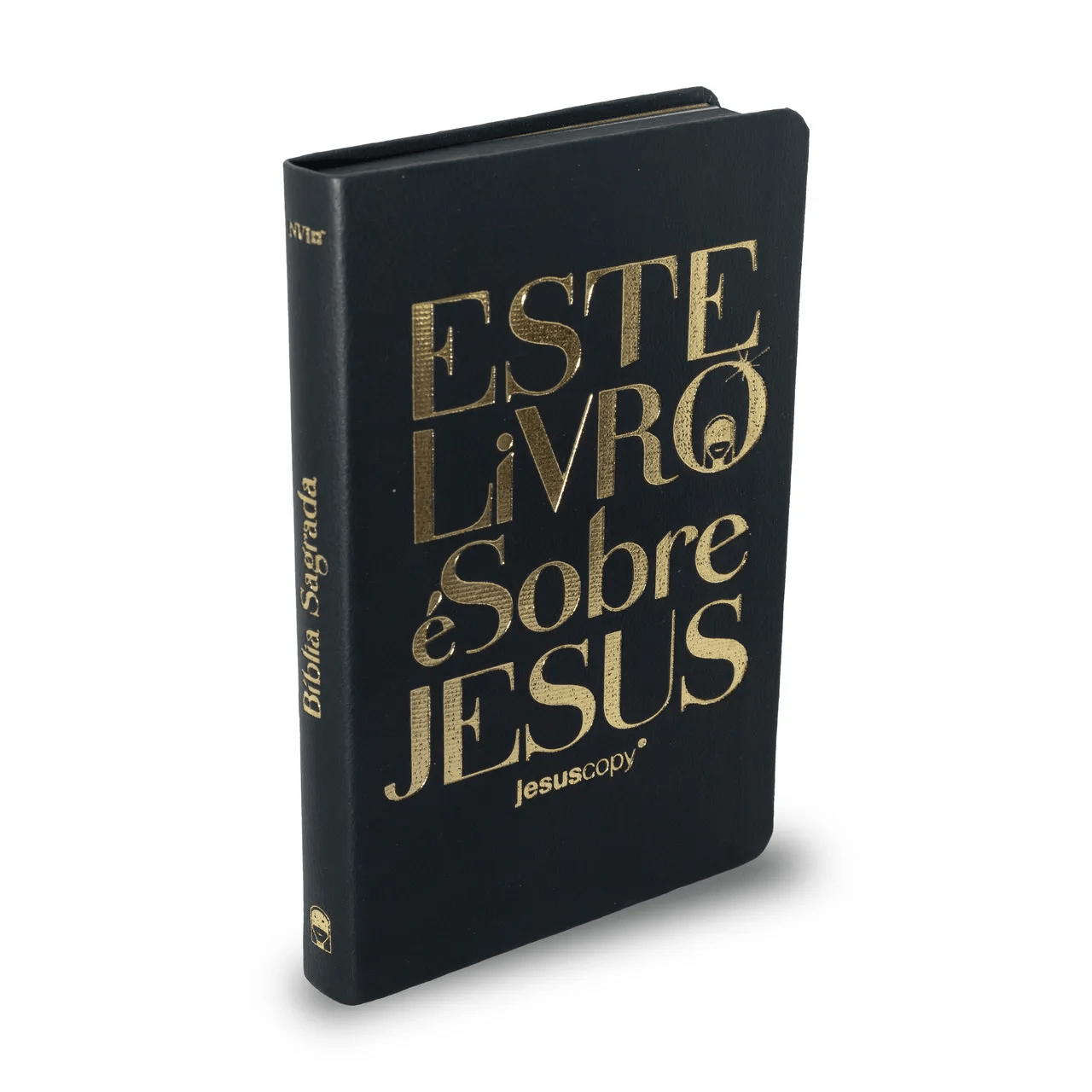 BÍBLIA LUXO "ESTE LIVRO É SOBRE JESUS" - NVI