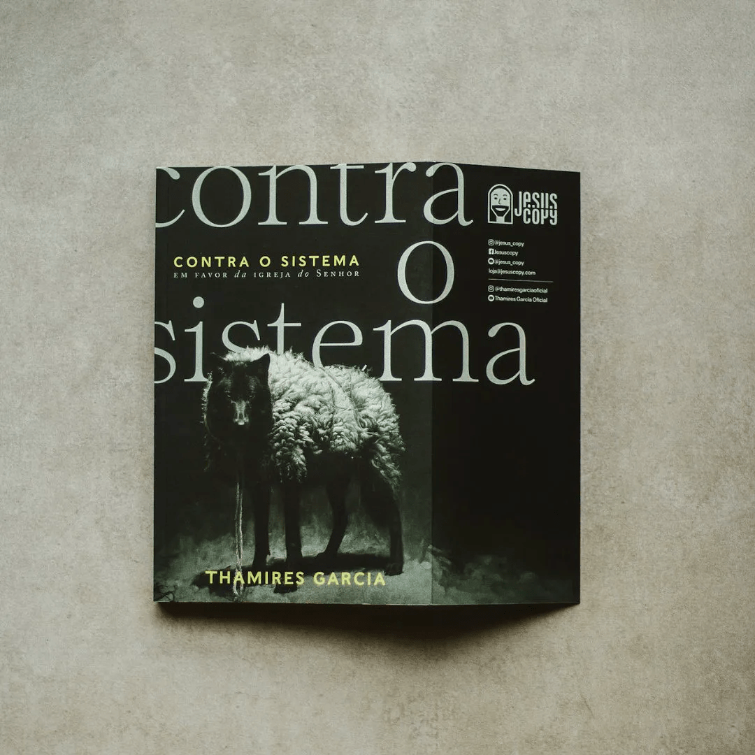 CONTRA O SISTEMA | THAMIRES GARCIA