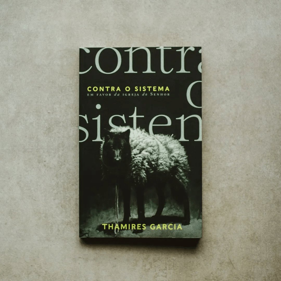 CONTRA O SISTEMA | THAMIRES GARCIA